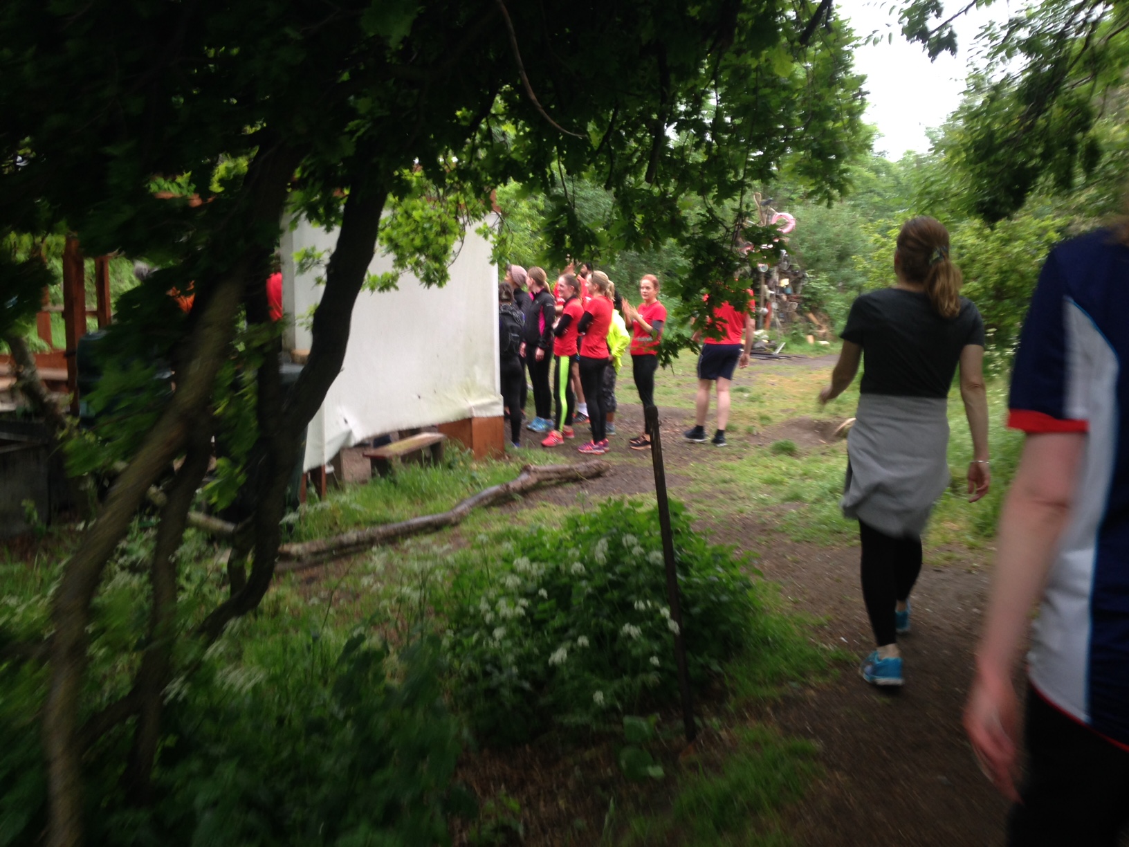 While the Wildcat's away, GoodGym will slay!