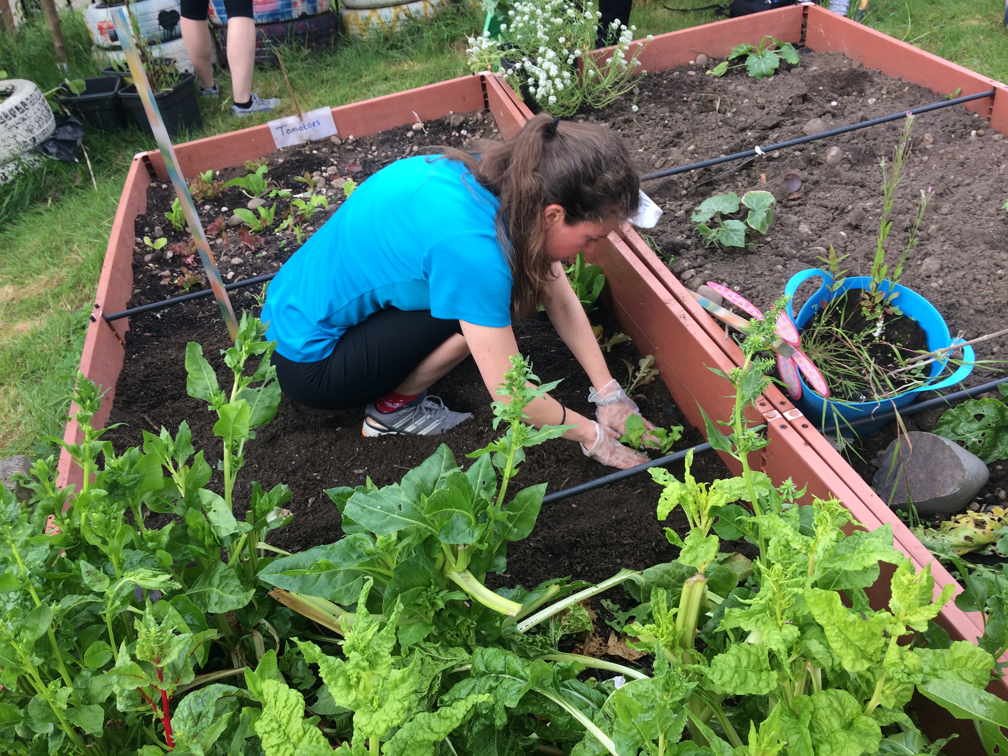 Godfrey Greenfingers