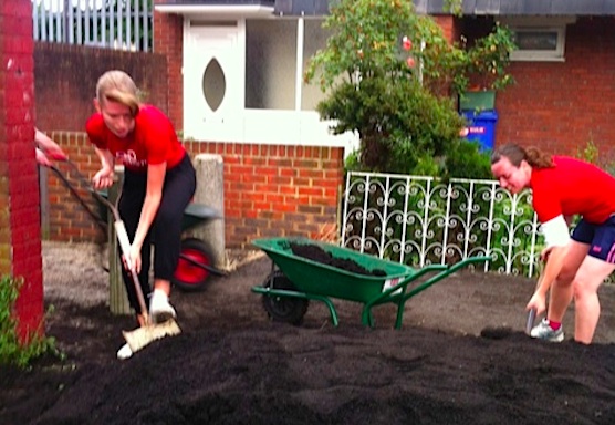 Compost Piles and the Rubble Strugglers