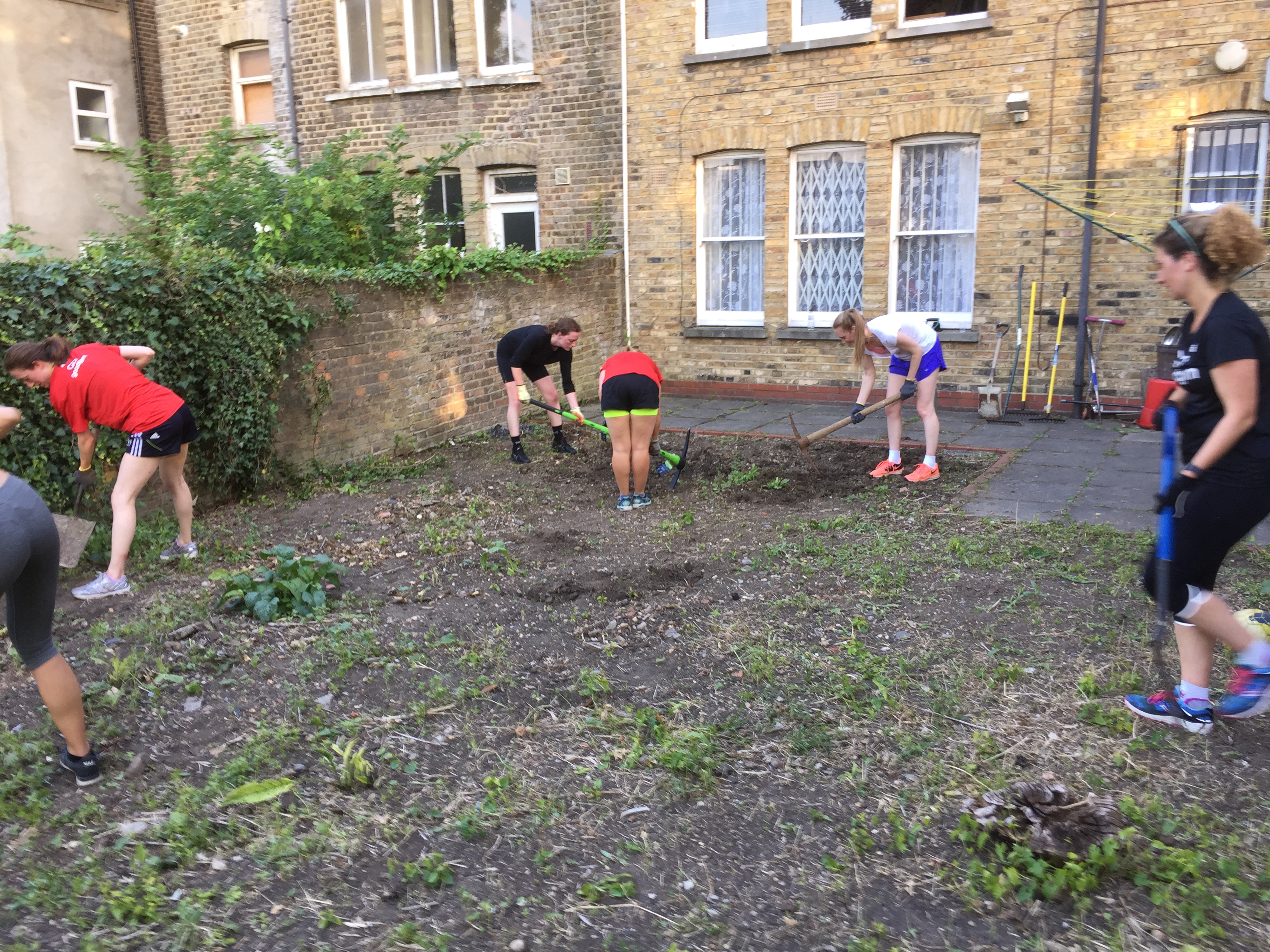 Hack -a- tree GoodGym 