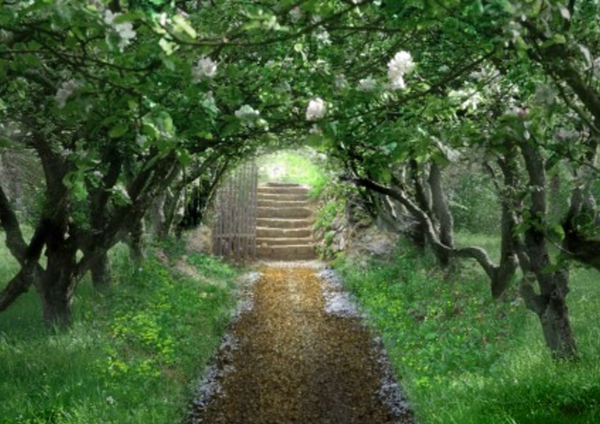Home wide uploads 2f1499784059246 hn6jq21ldwv 37dc2f24ae88ccf958756fa1437fde08 2fthe secret garden