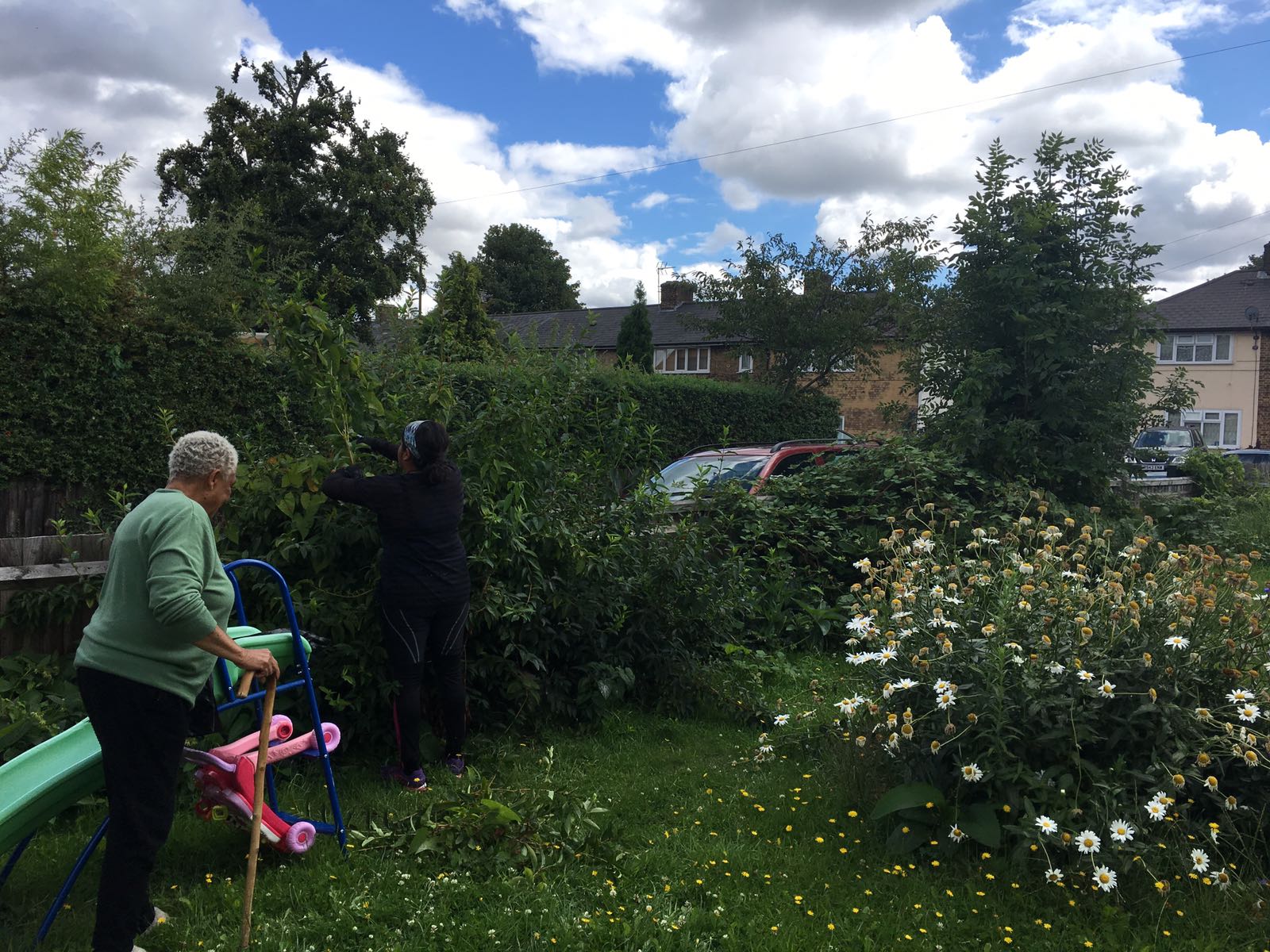 Hedge Fun!