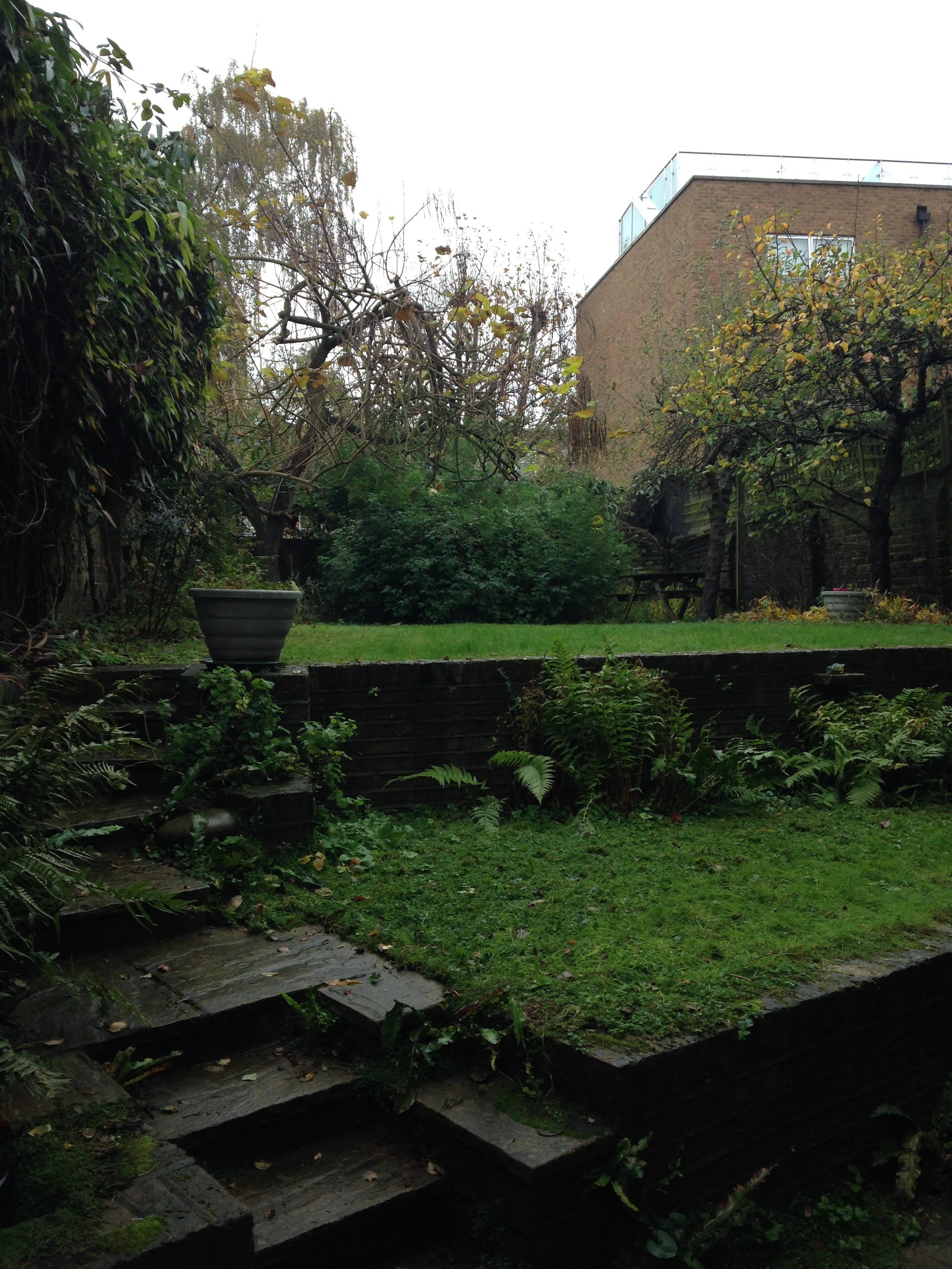 GoodGym "dodged the midgees" to help clear Anne's garden